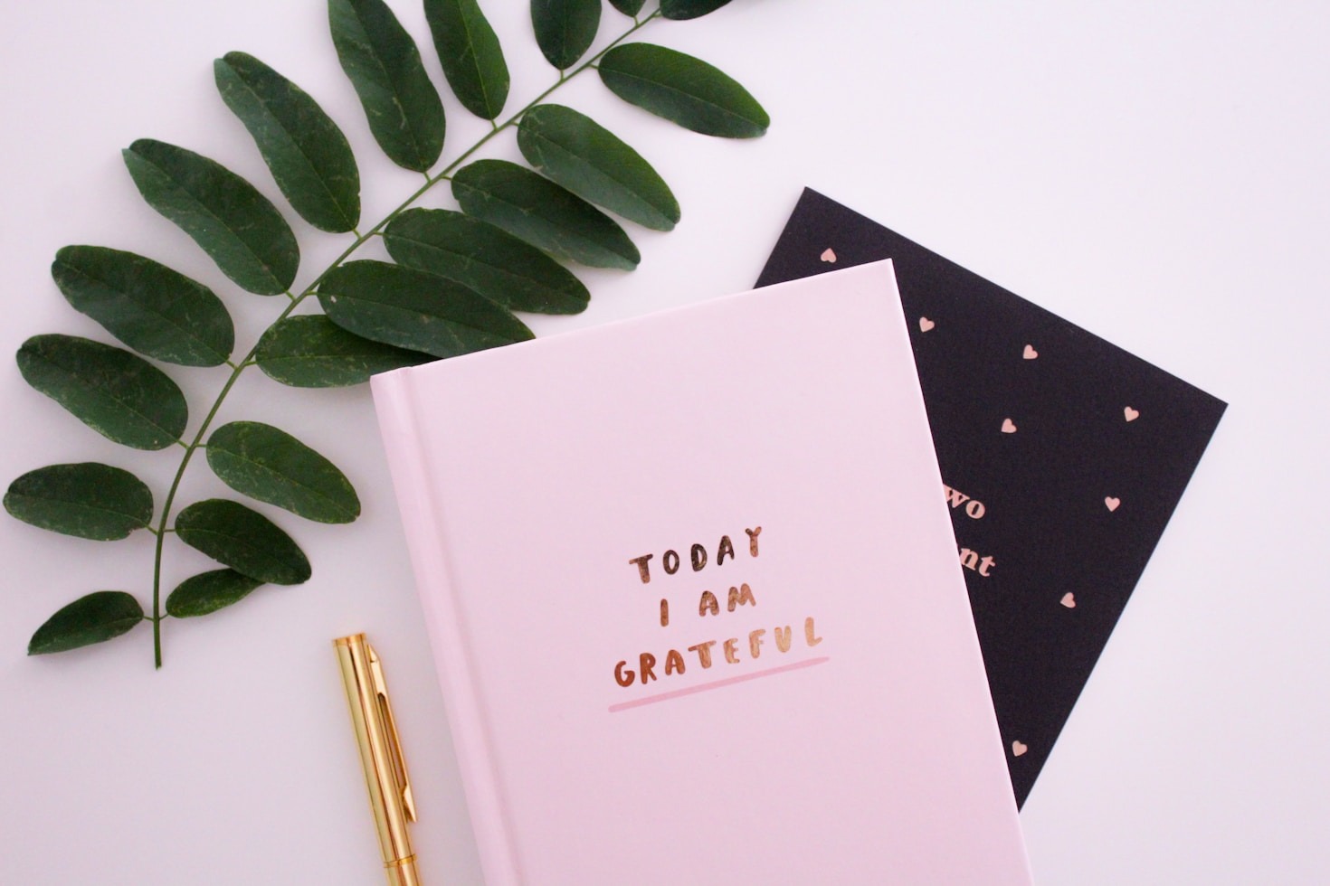 Finding Joy in the Little Things